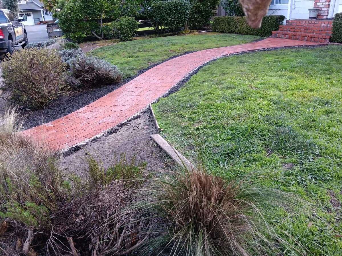 Paver Maintenance: The Complete Guide